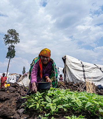 Entrepreneuriat et Autonomisation des Femmes et Filles par l'agriculture et le tissage - Photo 8